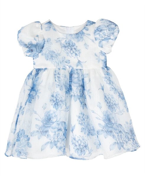 Baby Girl Two-Tone Organza Social Dress