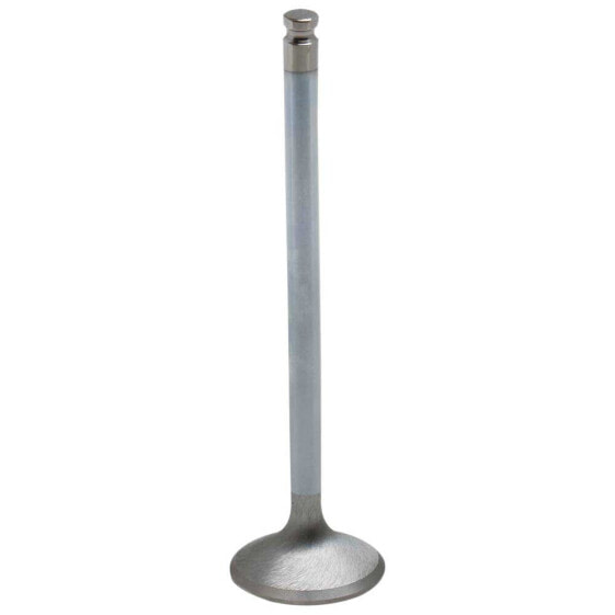 KIBBLEWHITE 80-80213H Intake Valve