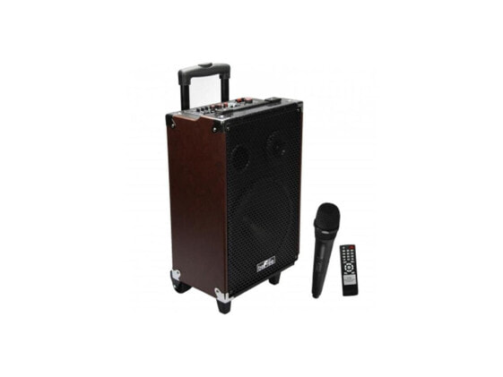 Befree Sound BFS-4700 10" 500W Bluetooth Portable Speaker w/ Mic