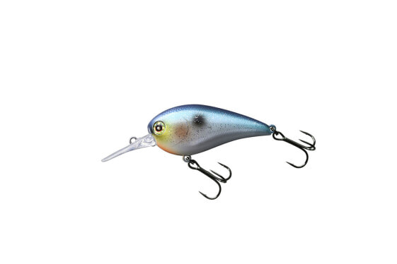 Jackall DIGLE Crankbaits (JDIG4-SSH) Fishing