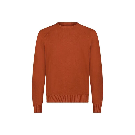 LEE Clean Raglan sweater