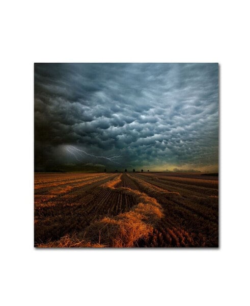 Franz Schumacher 'Mammatus' Canvas Art - 18" x 18" x 2"