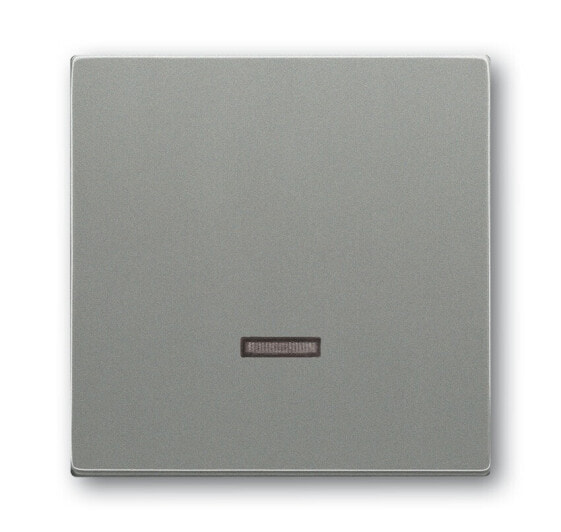 BUSCH JAEGER 6599-0-2942 - Buttons - Gray - Plastic - 63 mm - 63 mm - 1 pc(s)