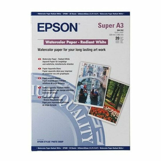 Набор картриджа и фотобумаги Epson C13S041352 A3 20 Листья