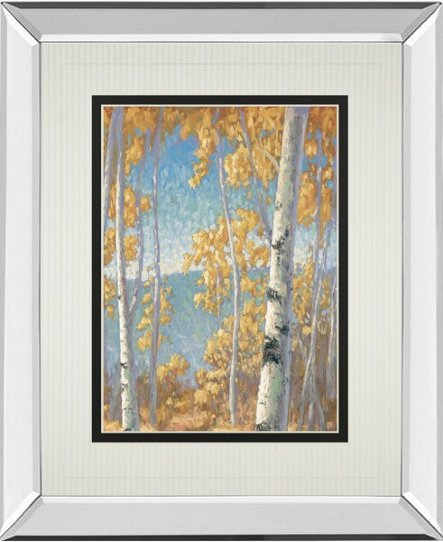 Honey Birch II by John Macnab Mirror Framed Print Wall Art, 34" x 40"