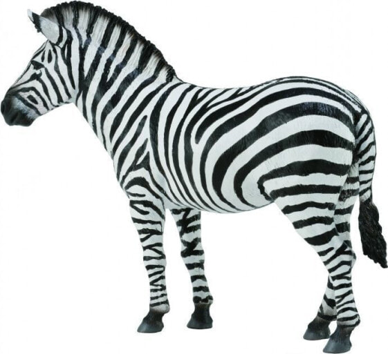 Figurka Collecta Zebra Common (004-88830)