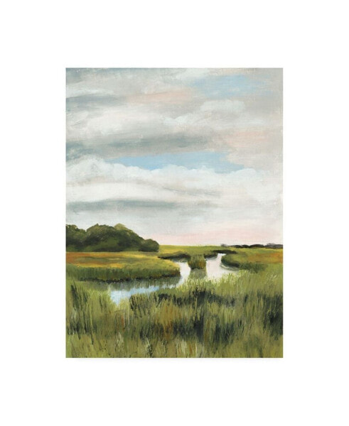 Картина на холсте Trademark Global Naomi Mccavitt Marsh Landscapes I - 15" x 20"