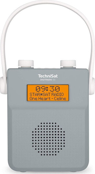 Радиоприемник TechniSat Digitradio 30