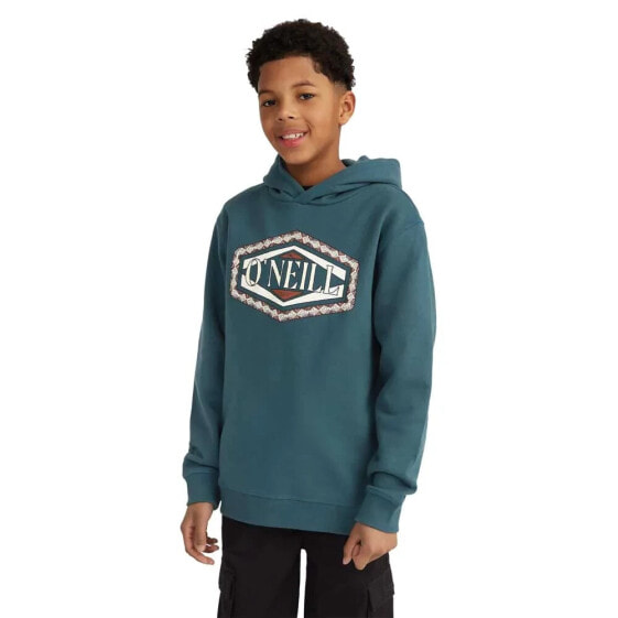 O´NEILL Front Print hoodie