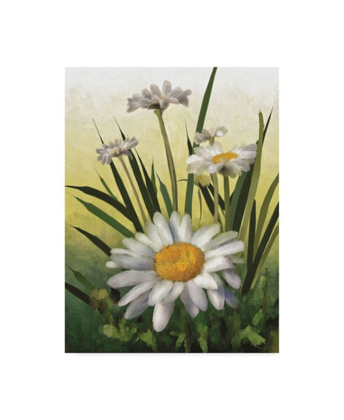 Lois Bryan Spring Daisies Canvas Art - 20" x 25"