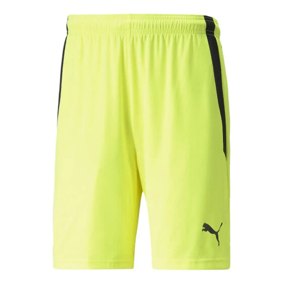 PUMA TeamLiga Shorts