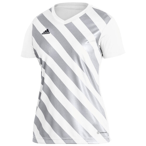 ADIDAS Entrada 22 GFX short sleeve T-shirt