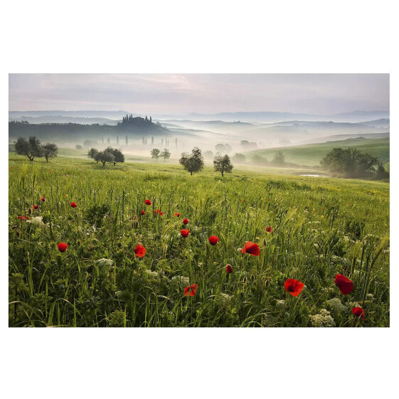 Vliestapete Toskana Frühling