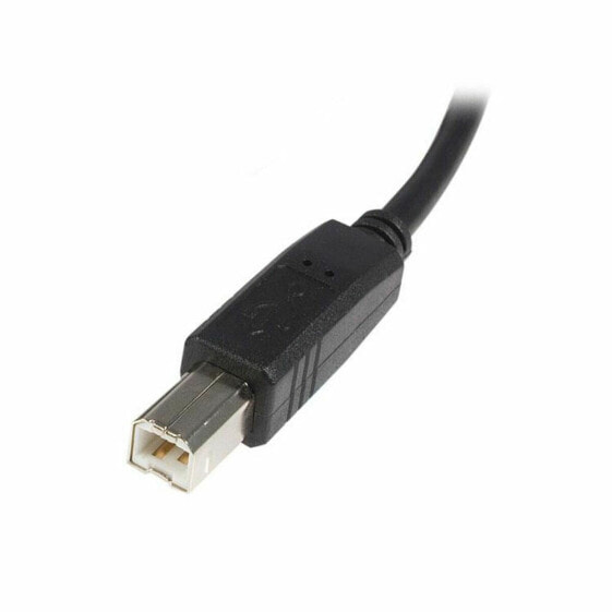 Кабель USB A — USB B Startech USB2HAB3M Чёрный