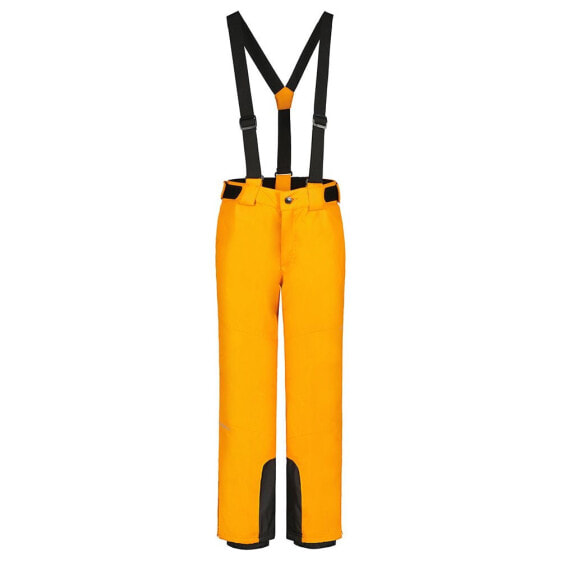 ICEPEAK Lenzen Pants