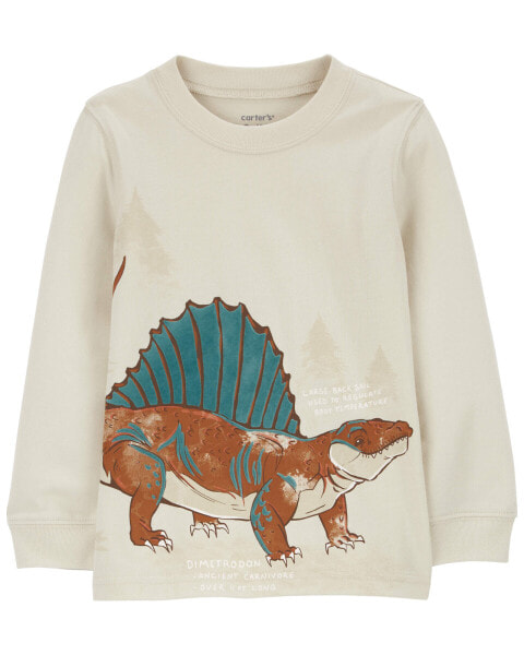 Toddler Dinosaur Graphic Tee 4T