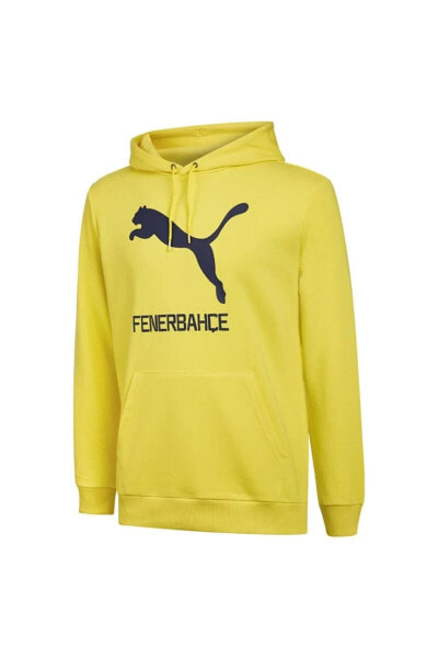 Толстовка PUMA FSK Cat Hoody Erkek