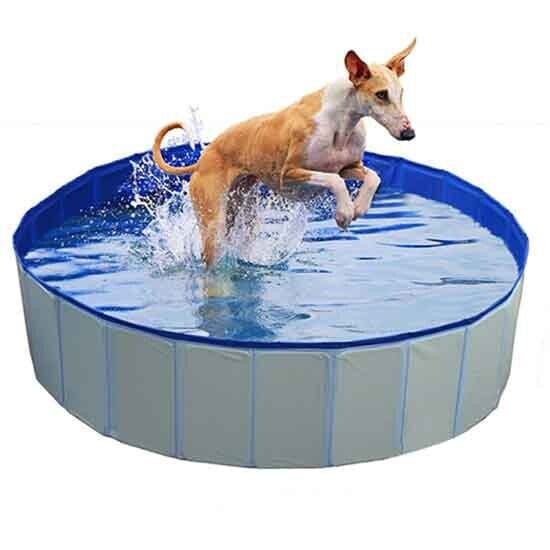 DUVO+ Dog Pool 120x30 cm