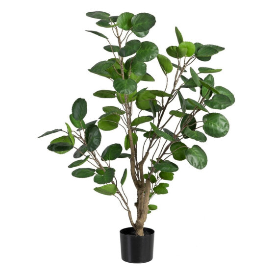 Декоративное растение 80 x 77 x 113 cm Зеленый PVC Aralia