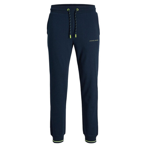 JACK & JONES Gordon Globus sweat pants