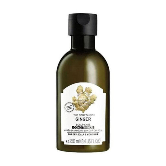 THE BODY SHOP Ginger 250ml Conditioner