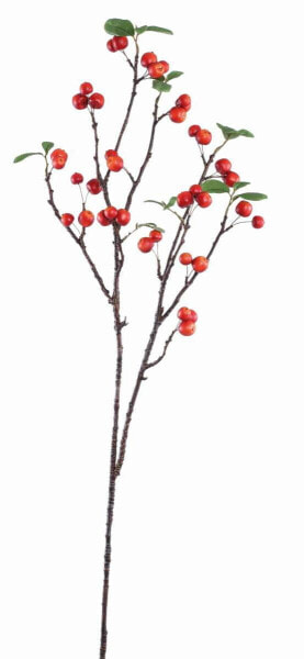 Искусственные цветы PTMD Collection Zweig Appeltros Красный Кунстцвейг 60x41x118 см