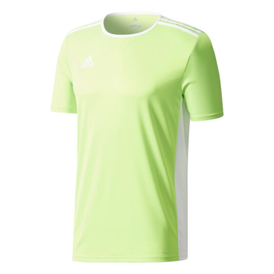 ADIDAS Entrada 18 short sleeve T-shirt