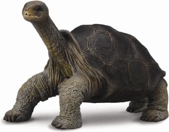 Фигурка Collecta Pinta Island Tortoise 004-88619 Figurines (Фигурки)