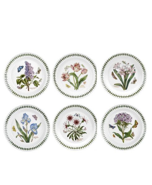 Botanic Garden Assorted Motifs Salad Plate, Set of 6