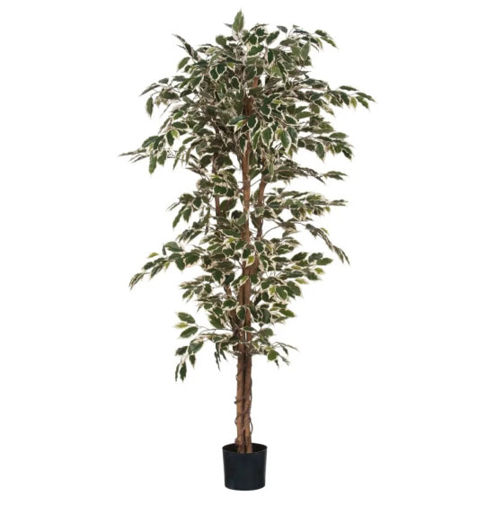 Kunstpflanze Ficus