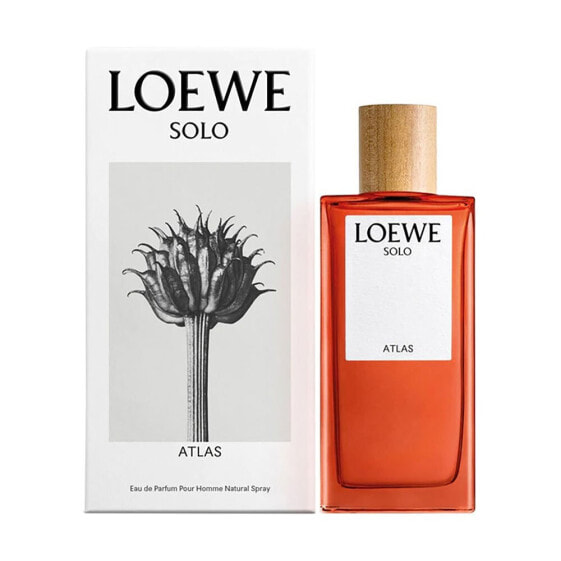 Парфюмерия мужская Loewe Solo Atlas 50 мл Eau De Parfum