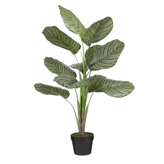 Kunstpflanze Calathea Orbifolia