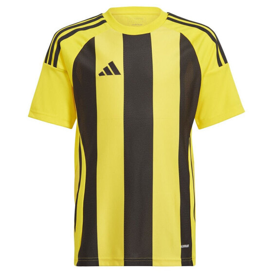 ADIDAS Striped 24 short sleeve T-shirt