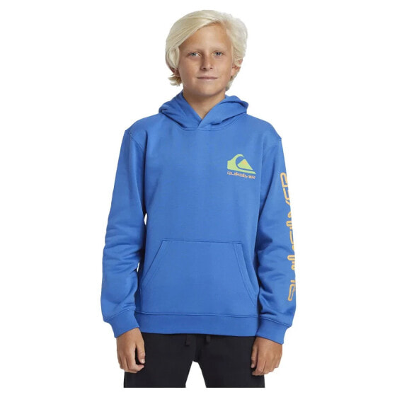 QUIKSILVER Omni Logo hoodie