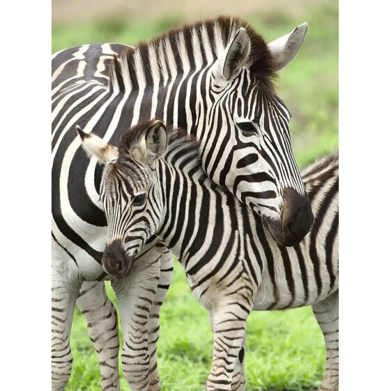 Puzzle Zebras XXL