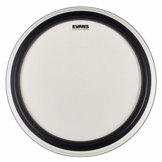 Evans 18" EMAD UV Coated Bass