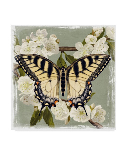 Victoria Borges Butterfly Branch II Canvas Art - 15" x 20"