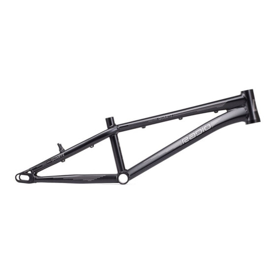 RADIO RACELINE Quartz Pro 2021 BMX Frame