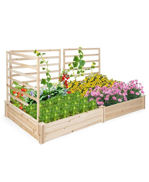 Raised Garden Bed with 3 Trellises with Divided Compartments for Flowers