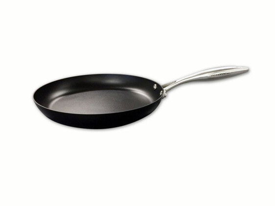 Professional 10.25", 26cm Nonstick Fry Pan, Black