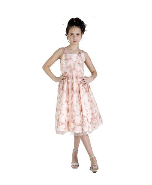 Big Girls A-line Dress with 3D Floral Embroidery