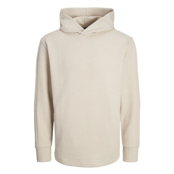 JACK & JONES Sefton hoodie