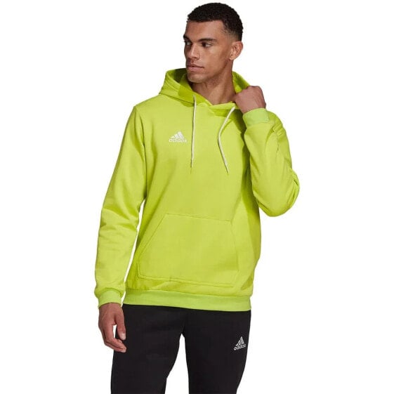 ADIDAS Entrada 22 hoodie