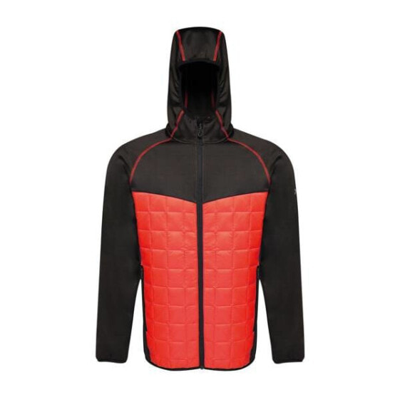 Куртка спортивная мужская Regatta Modular Thermal