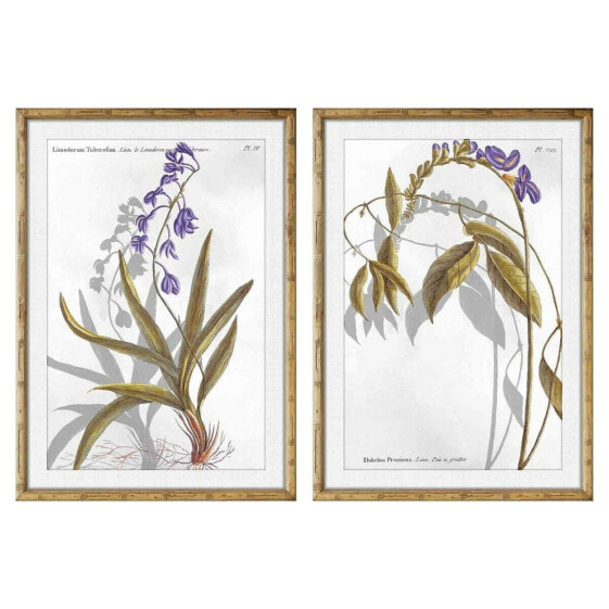 Картина DKD Home Decor 50 x 2 x 70 cm современный Ботанические растения (2 штук)