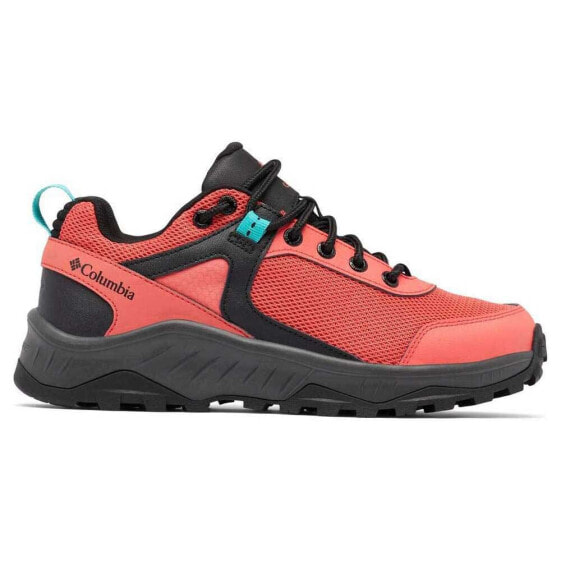 COLUMBIA Trailstorm™ Ascend WP hiking shoes