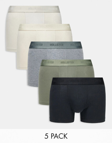 Hollister 5-pack trunks in natural, green, grey and black