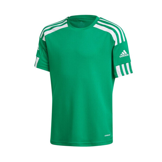 Футболка мужская Adidas Squadra 21