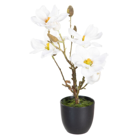 Декоративное растение полиэстер полиэтилен Железо 22 x 22 x 38 cm Magnolia