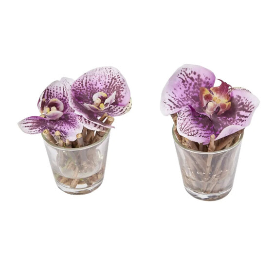 Orchideen in Wasserillusion Sissi